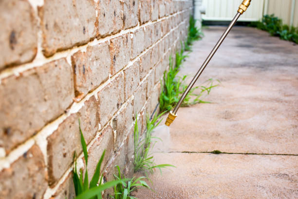 Indoor Pest Control in Pond Creek, OK